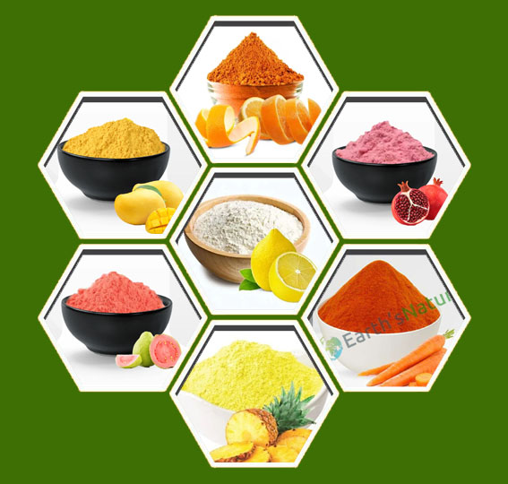 N.Pardhan Vegetable & Fruit Powder Export Private Limited