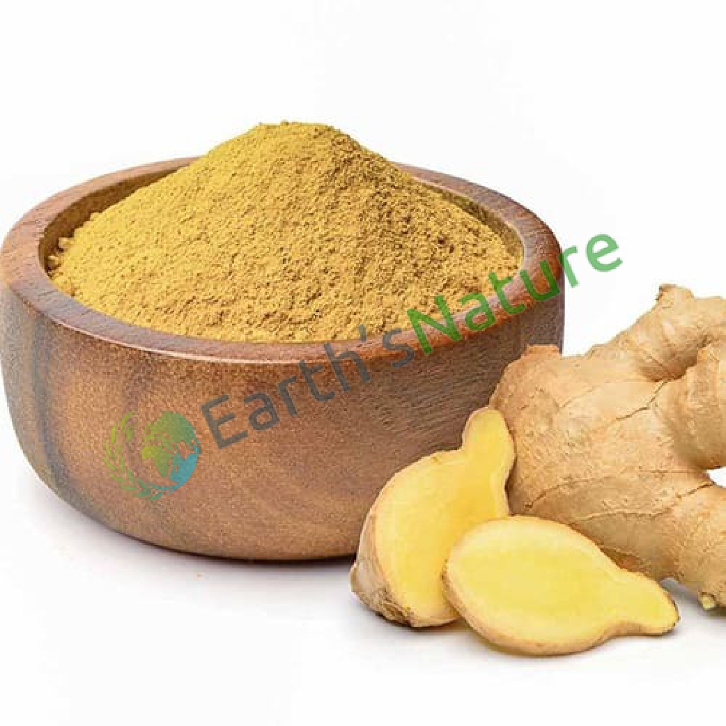 Dry Ginger Powder Manufacturers in Aachen