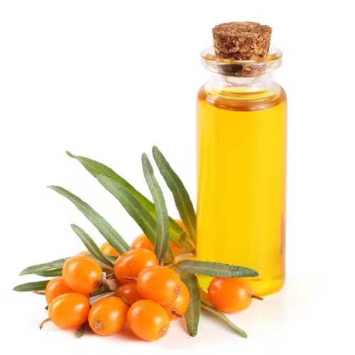 Sea buckthorn pulp Manufacturers in Alice Springs