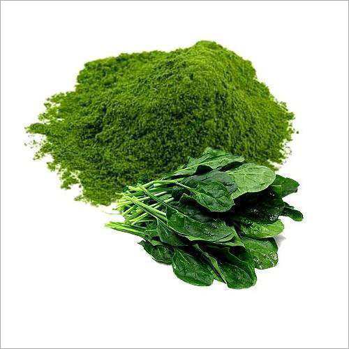 Spinach​‍​‌‍​‍‌​‍​‌‍​‍‌ Powder