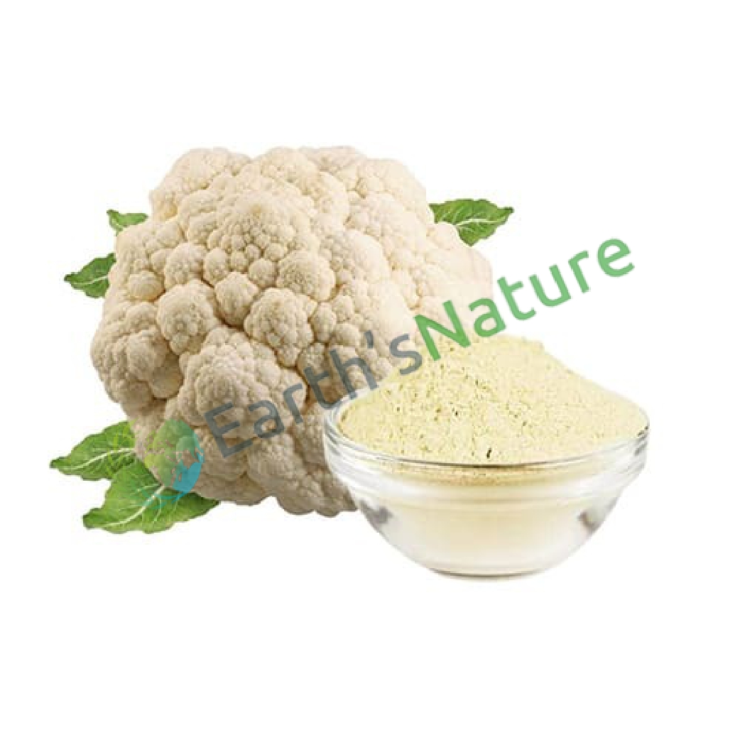 Cauliflower Powder Manufacturers in Udupi