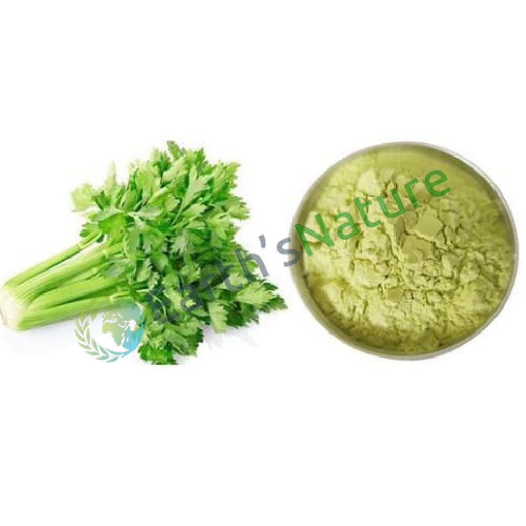 Celery Powder Manufacturers in Udupi
