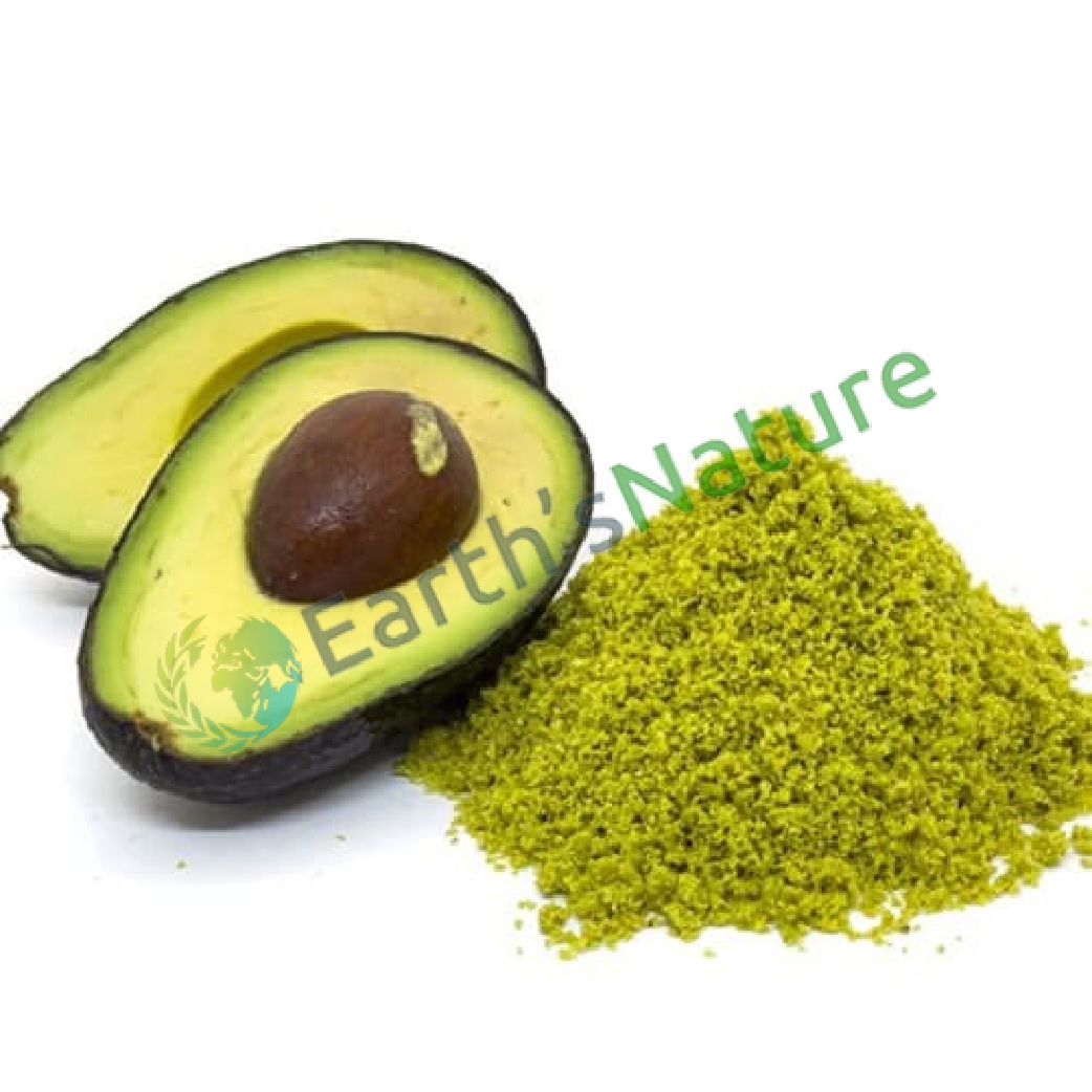 Avocado Powder Manufacturers in Udupi