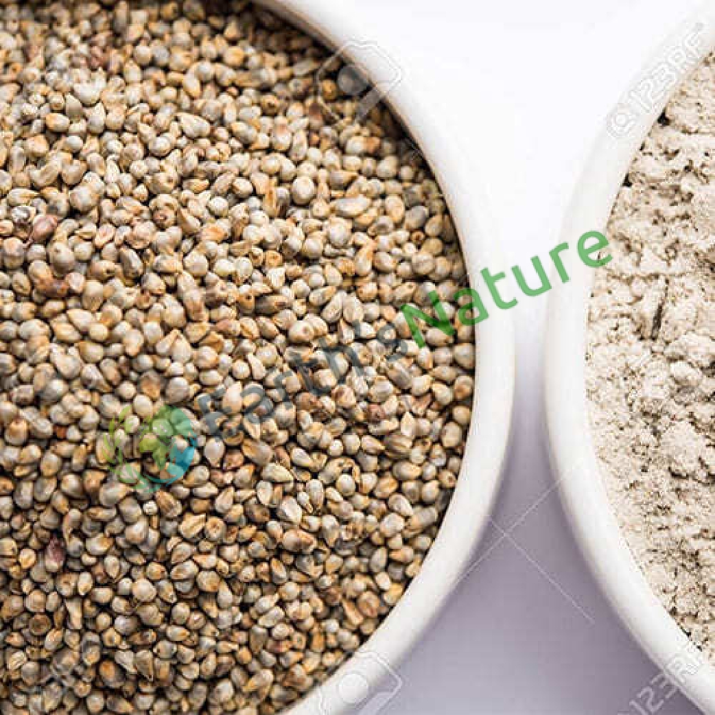 Bajra Flour Manufacturers in 