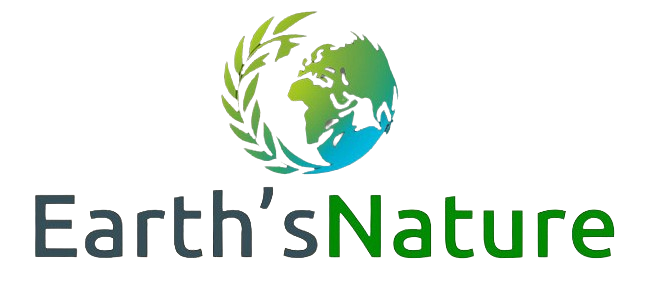 N.Pardhan Vegetable & Fruit Powder Export Pvt. Ltd