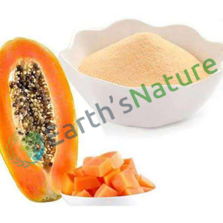 Papaya Powder Suppliers in Maharashtra