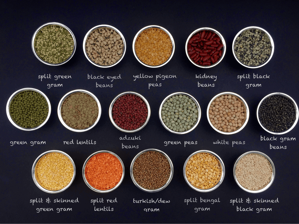 Pulses and Lentils
